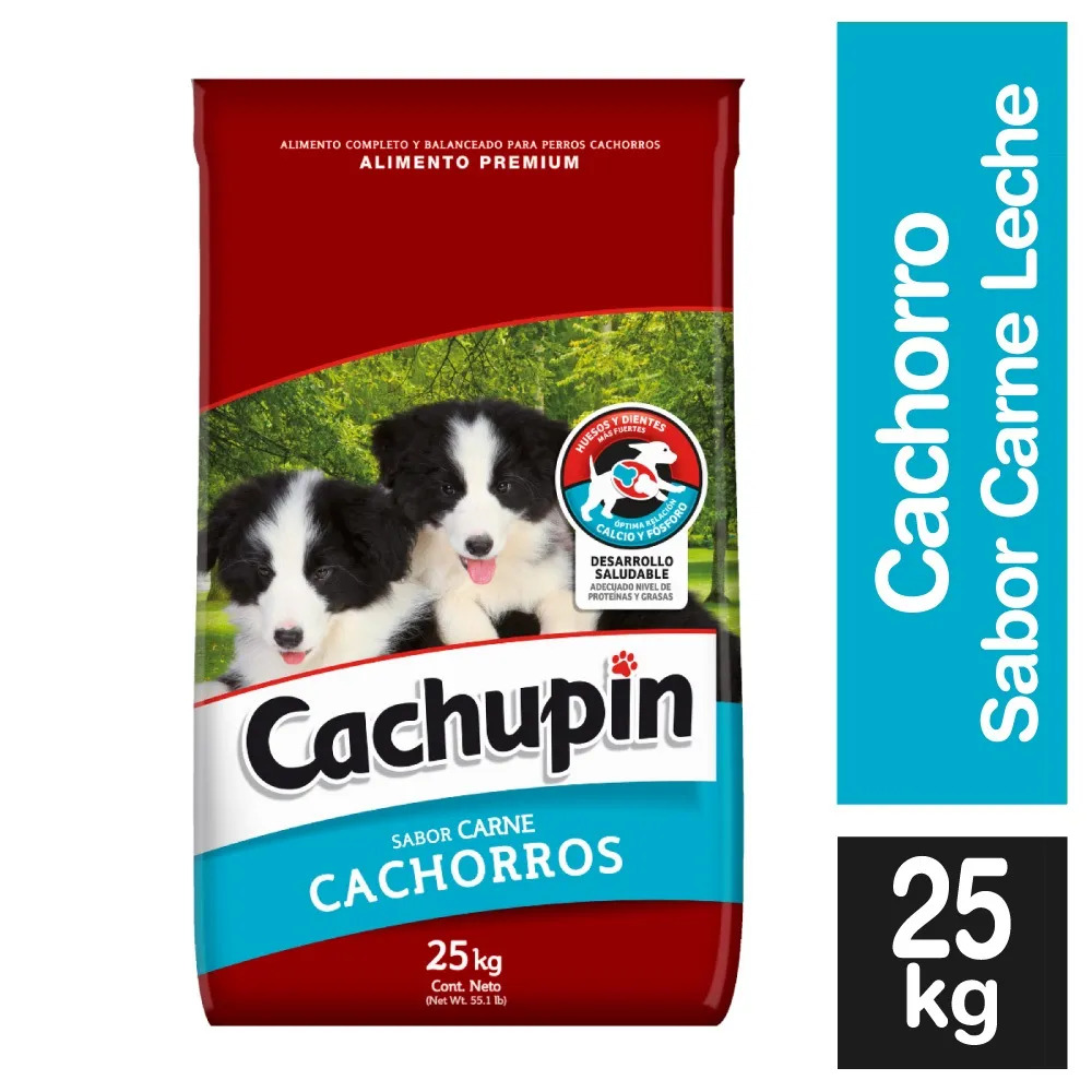 Cachupín Cachorro